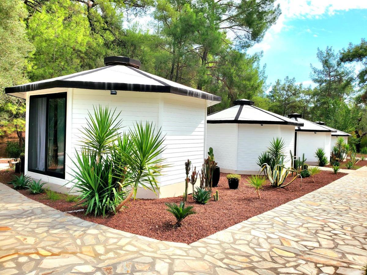 Nomad Lodge Olympos Adults Only Exterior photo